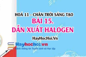 Dẫn xuất Halogen là gì, Tính chất hoá học, tính chất vật lí của dẫn xuất Halogen và ứng dụng? Hoá 11 chân trời bài 15